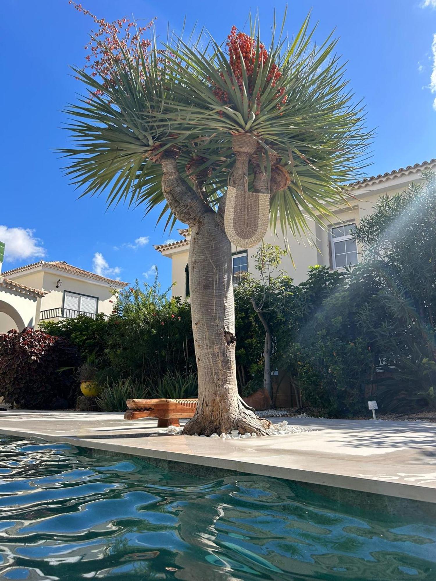 Villa Ibiza - Beautiful House With Private Pool Чайофа Экстерьер фото